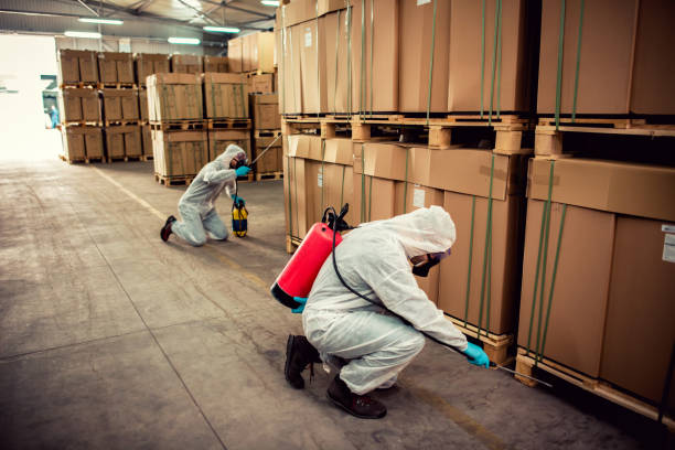 Best Exterminator Services  in Chalfant, CA
