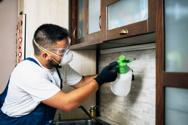 Best Termite Control Services  in Chalfant, CA