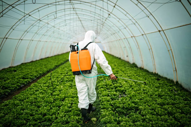 Best Pest Removal Services  in Chalfant, CA