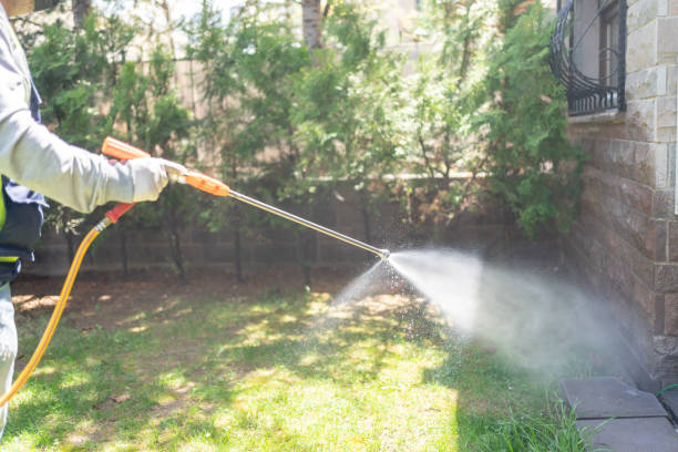 Best Best Pest Control Companies  in Chalfant, CA