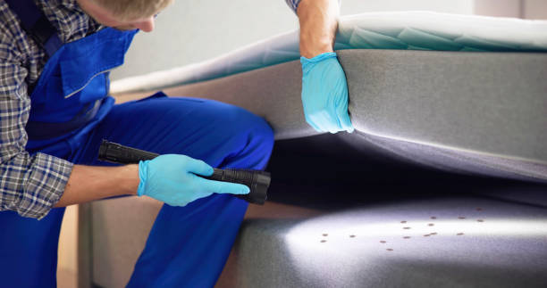 Best Rat Extermination Near Me  in Chalfant, CA