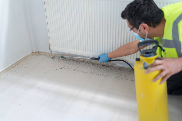 Best Wasp Removal Services  in Chalfant, CA